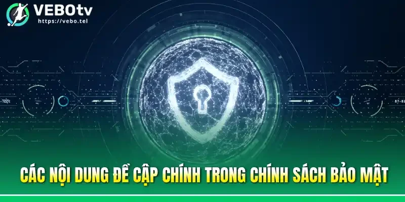 Các nội dung đề cập chính trong chính sách bảo mật