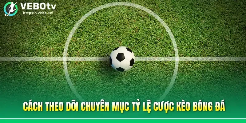 Cách theo dõi chuyên mục tỷ lệ cược kèo bóng đá