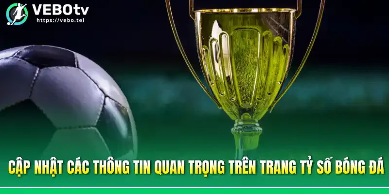 Cập nhật các thông tin quan trọng trên trang tỷ số bóng đá