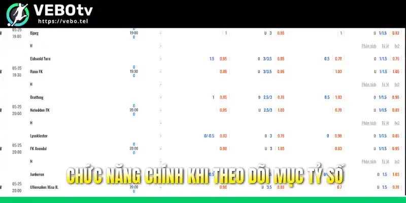 Chức năng chính khi theo dõi mục tỷ số