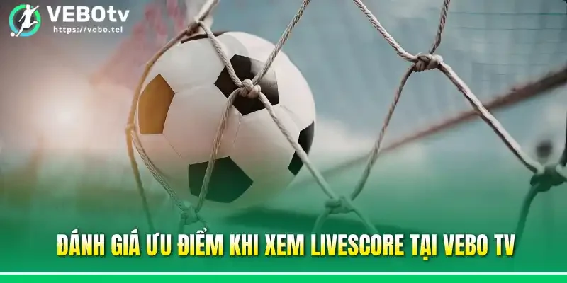 Đánh giá ưu điểm khi xem livescore tại Vebo tv