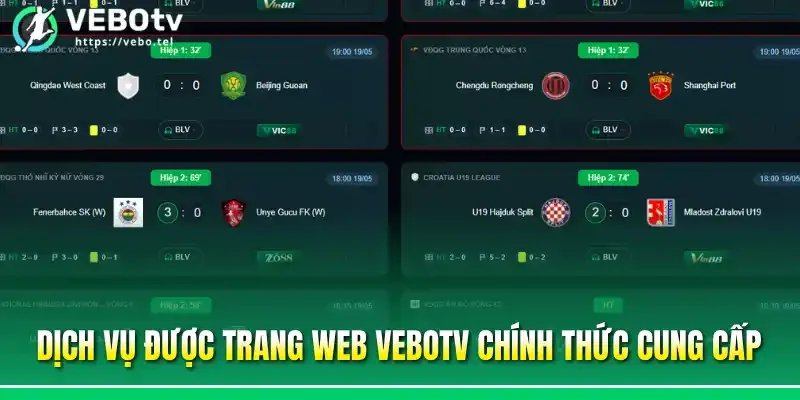 Dịch vụ được trang web Vebotv chính thức cung cấp