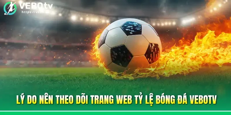 Lý do nên theo dõi trang web tỷ lệ bóng đá Vebotv