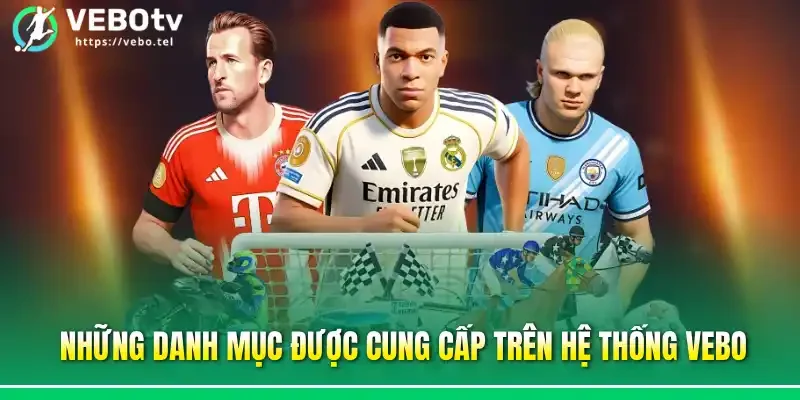 Những danh mục được cung cấp trên hệ thống vebo