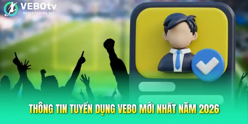 Thông tin tuyển dụng Vebo mới nhất năm 2026