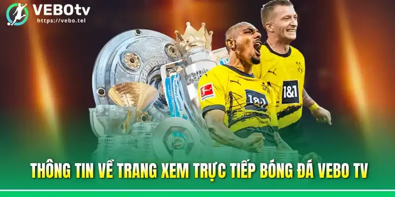 Thông tin về trang xem trực tiếp bóng đá vebo tv
