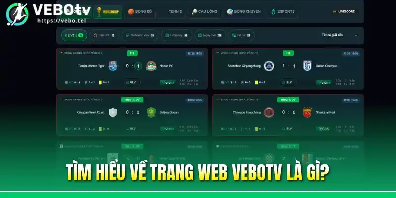 Tìm hiểu về trang web Vebotv là gì?