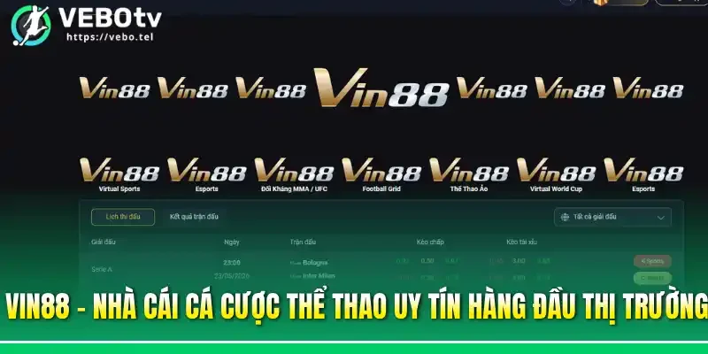 Vin88 - Nhà cái cá cược thể thao uy tín hàng đầu thị trường