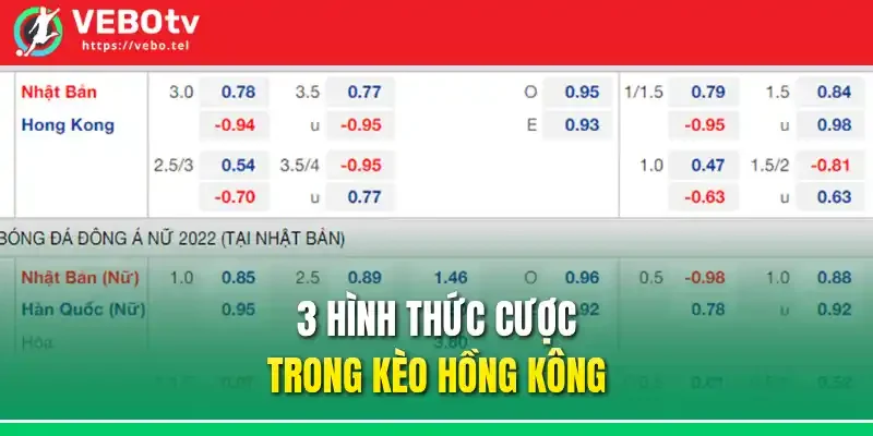 3 hình thức cược trong kèo Hồng Kông
