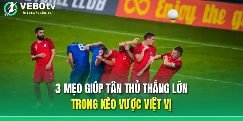 3 mẹo giúp tân thủ thắng lớn trong kèo vược việt vị