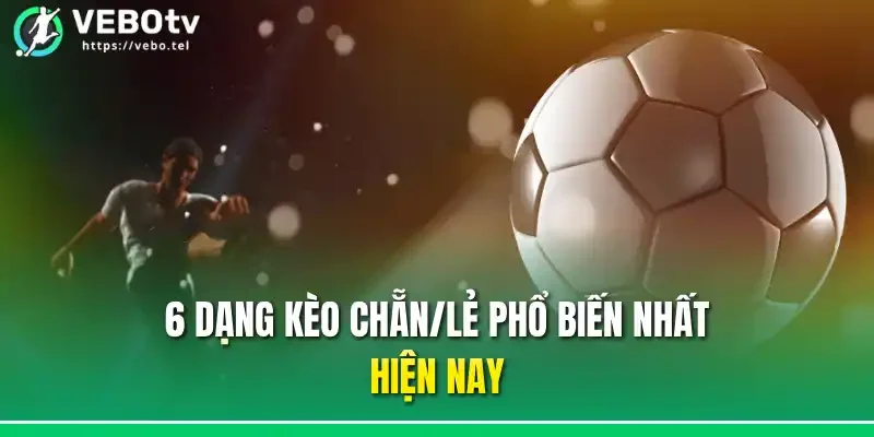 6 dạng kèo chẵn/lẻ phổ biến nhất hiện nay
