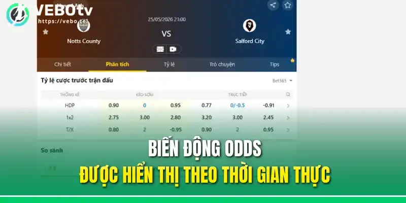 Biến động Odds được hiển thị theo thời gian thực