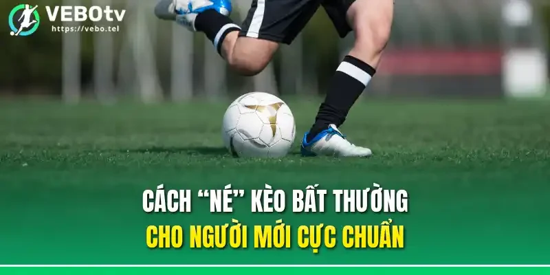 Cách “né” kèo bất thường cho người mới cực chuẩn