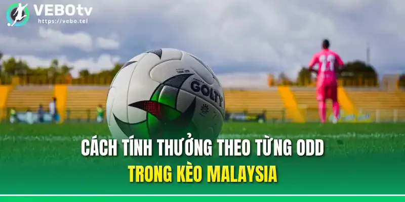 Cách tính thưởng theo từng odd trong kèo Malaysia