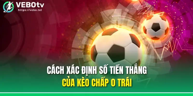 Cách xác định số tiền thắng của kèo chấp 0 trái