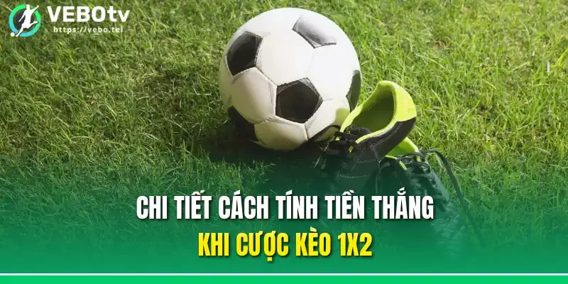 Chi tiết cách tính tiền thắng khi cược kèo 1X2