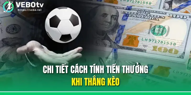 Chi tiết cách tính tiền thưởng khi thắng kèo