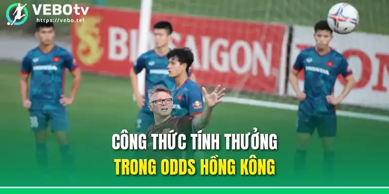 Công thức tính thưởng trong odds Hồng Kông