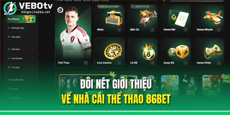 Đôi nét giới thiệu về nhà cái thể thao 86bet