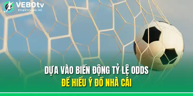 Dựa vào biến động tỷ lệ odds để hiểu ý đồ nhà cái