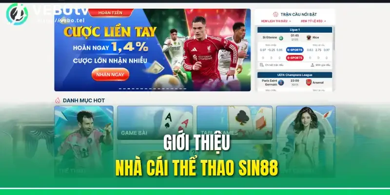 Giới thiệu nhà cái thể thao Sin88