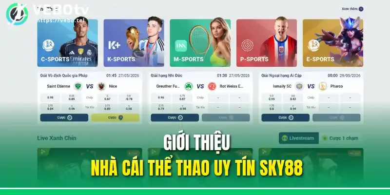 Giới thiệu nhà cái thể thao uy tín Sky88