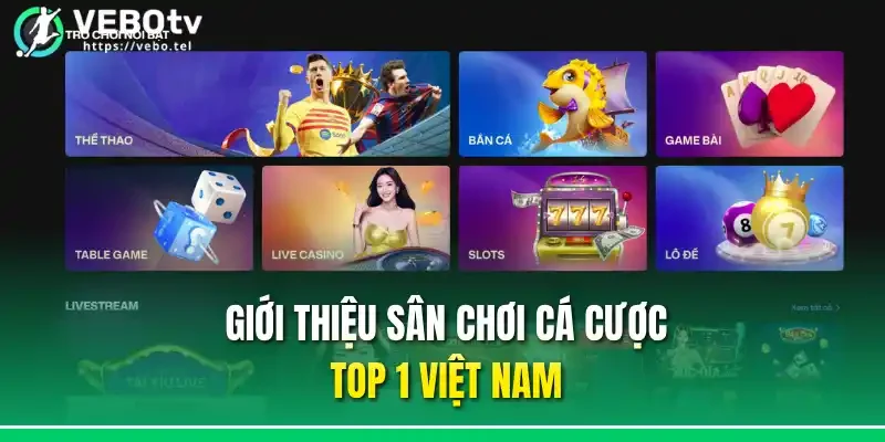 Giới thiệu sân chơi cá cược top 1 Việt Nam