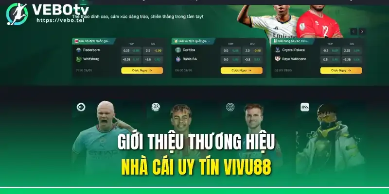 Giới thiệu thương hiệu nhà cái uy tín Vivu88