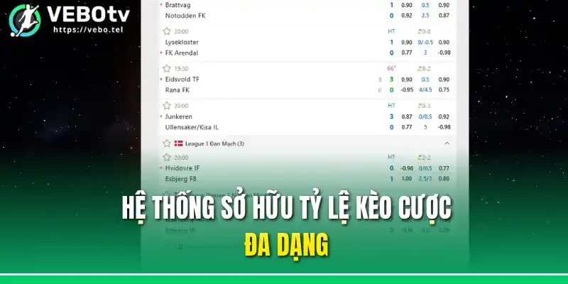 Hệ thống sở hữu tỷ lệ kèo cược đa dạng