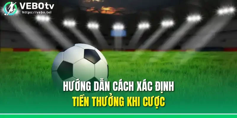 Hướng dẫn cách xác định tiền thưởng khi cược 
