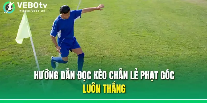 Hướng dẫn đọc kèo chẵn lẻ phạt góc luôn thắng