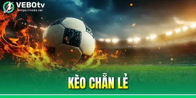 Kèo Chẵn Lẻ - 5 Hình Thức Cược Được Ưa Chuộng Nhất 2026