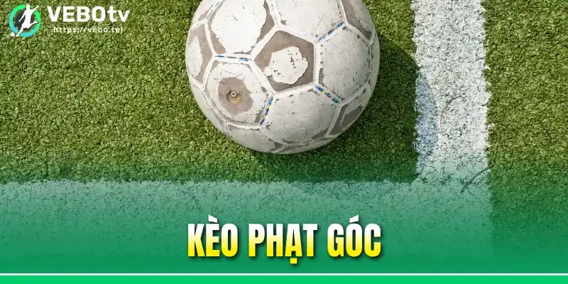 Kèo Phạt Góc Là Gì? Cách Đọc Kèo Đơn Giản Dành Cho Người Mới