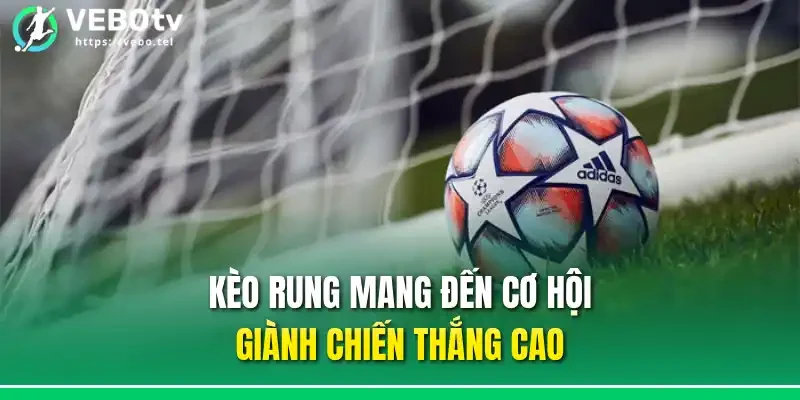 Kèo rung mang đến cơ hội giành chiến thắng cao