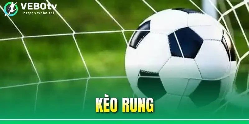 Kèo Rung Là Gì? Cách Đọc Và Tổng Hợp Các Dạng Kèo Phổ Biến