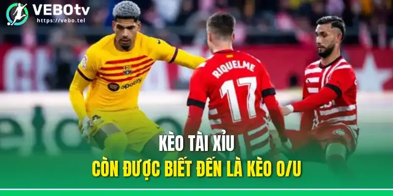 Kèo tài xỉu còn được biết đến là kèo O/U 