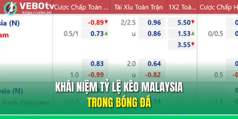 Khái niệm tỷ lệ kèo Malaysia trong bóng đá