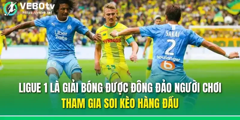 Ligue 1 là giải bóng được đông đảo người chơi tham gia soi kèo hàng đầu