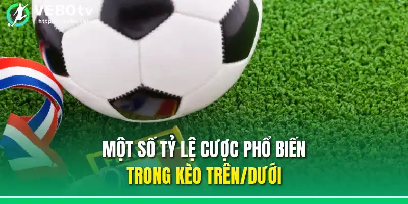 Một số tỷ lệ cược phổ biến trong kèo trên/dưới