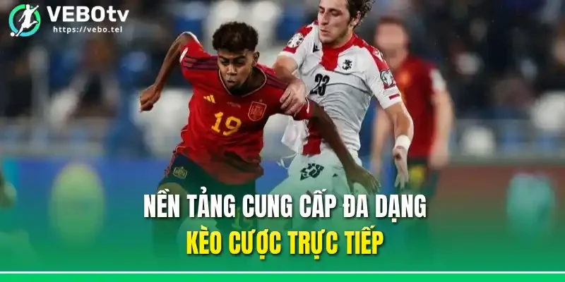 Nền tảng cung cấp đa dạng kèo cược trực tiếp