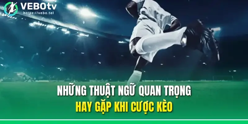 Những thuật ngữ quan trọng hay gặp khi cược kèo