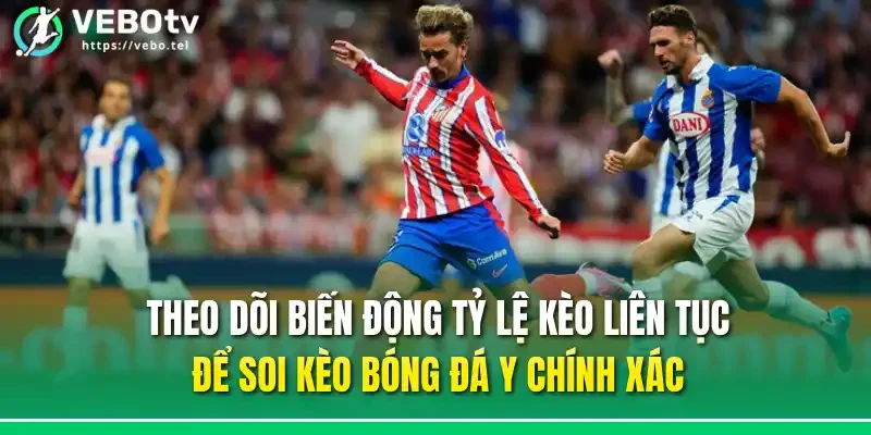 Theo dõi biến động tỷ lệ kèo liên tục để soi kèo bóng đá Ý chính xác
