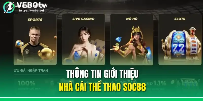 Thông tin giới thiệu nhà cái thể thao Soc88