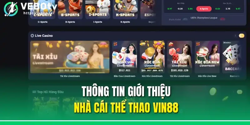 Thông tin giới thiệu nhà cái thể thao Vin88
