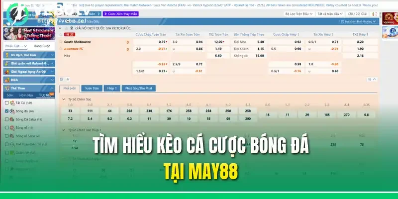 Tìm hiểu kèo cá cược bóng đá tại May88