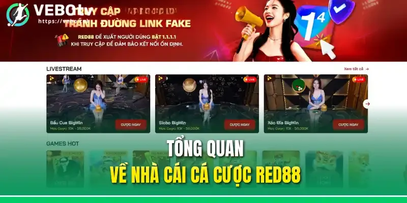 Tổng quan về nhà cái cá cược Red88