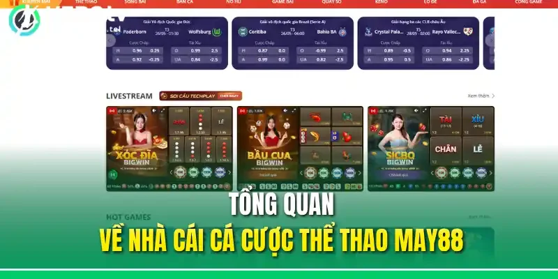 Tổng quan về nhà cái cá cược thể thao May88